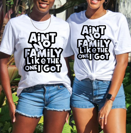 Ain’t No Family Like The One I Got T-Shirt